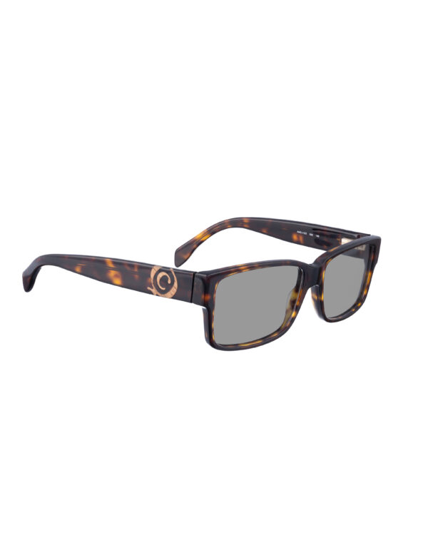 Alexander McQueen 00s Bold Nerdy Havana Sunglasses with Black Lenses