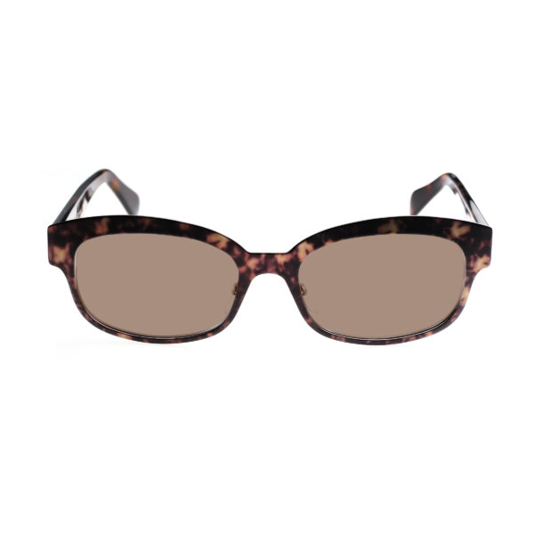 Celine Havana Brown Square-Frame Bold Sunglasses with Brown Lenses