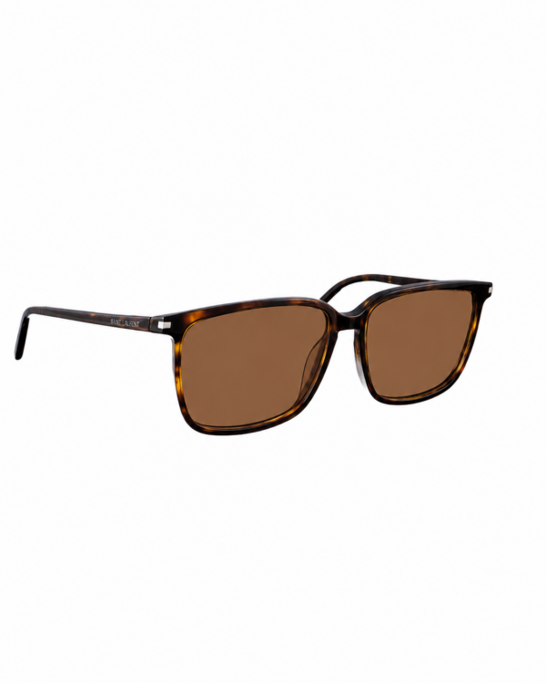 Saint Laurent 00s Black Havana Nerd Oversize Sunglasses with Brown Lenses