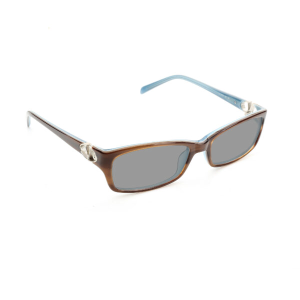 Valentino '00s Signature Brown & Blue Plastic Sunglasses